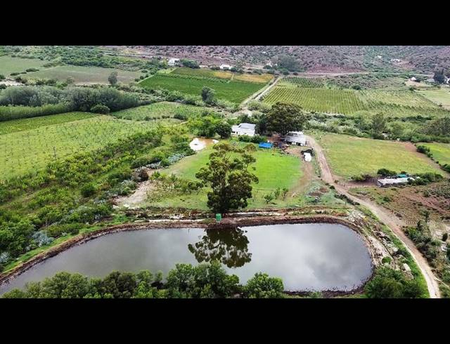 FARM FOR SALE IN LADISMITH